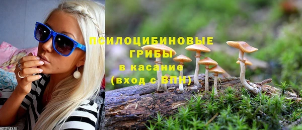 прущая мука Касимов