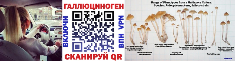 Псилоцибиновые грибы Psilocybe  продажа наркотиков  Пушкино 